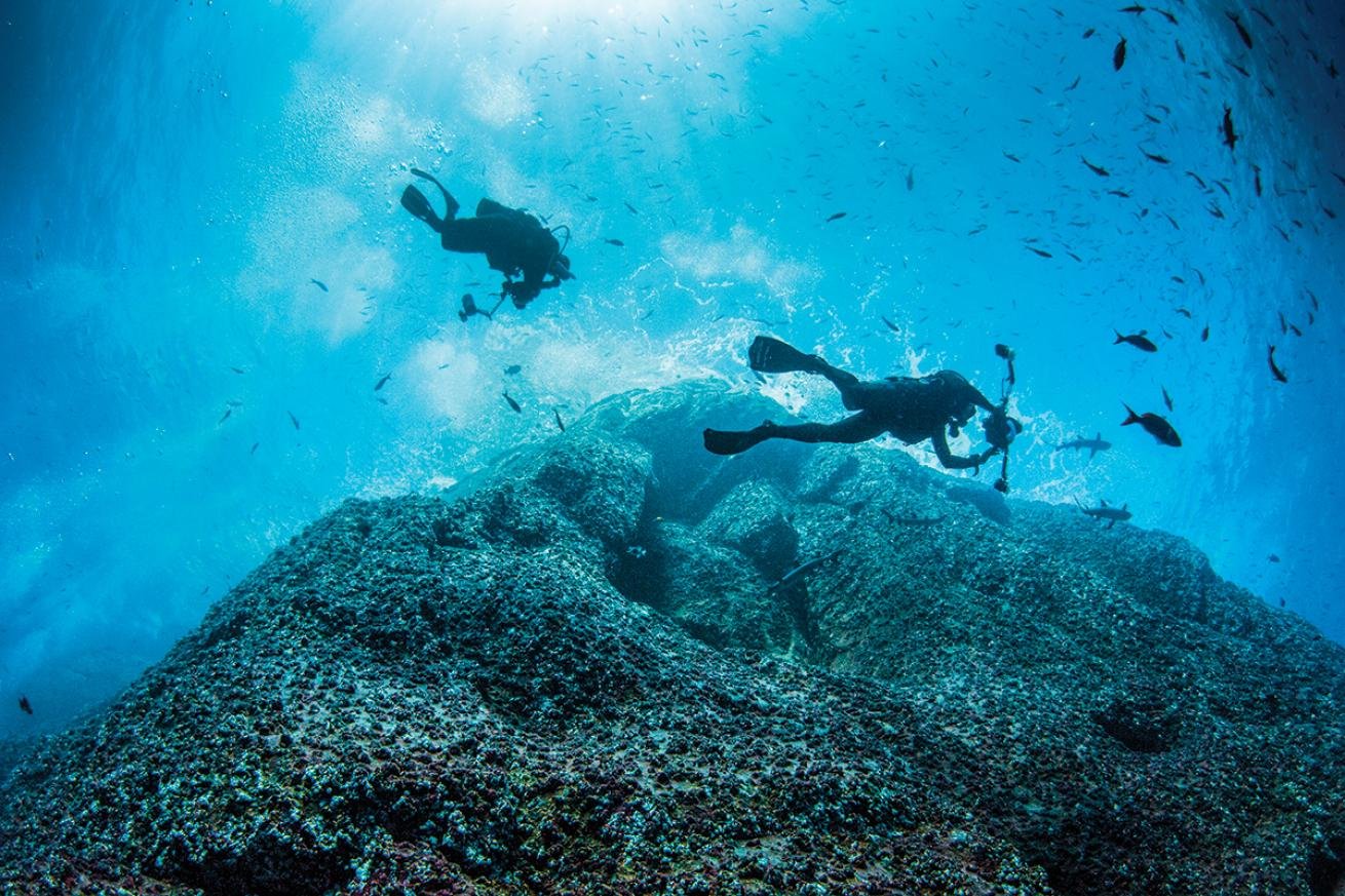 Glimpse Diving   Divers Mexico Annie Crawley 